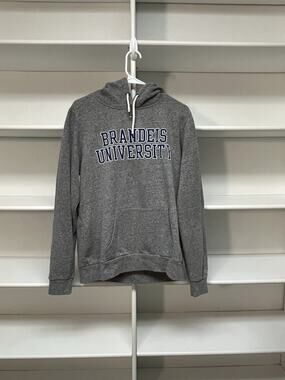 Brandies University Pullover Hoodie Gray XL Tribunes Sweats League Collegiate